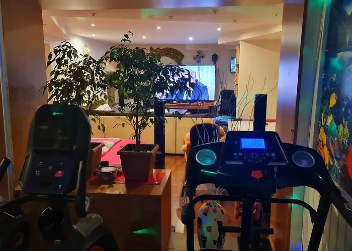 Apartment Park Slaski